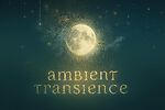 Ambient Transience
