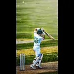 Cricket Videos