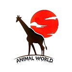 Animal World