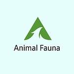 Animal Fauna