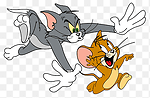 Tom and Jerry cartons