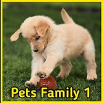 petsfamily1