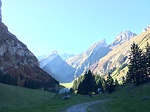 Wild wonderful Nature