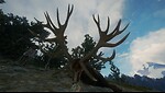 The .300 Hunter