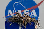 NASA VIDEOS