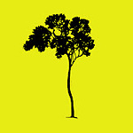 TreeCoin