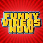 Funny Videos 2022