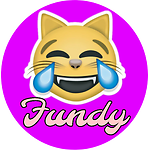 Funnyfundy