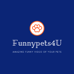 Funnypets4U