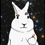 Enter the rabbit hole...