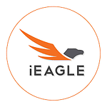 Find Cheap Flights, Airline Tickets & Flight Deals | iEagle