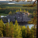 Koharharju