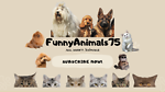 FunnyAnimals75