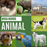 Mega Mundo Animal