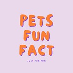 Pets Fun Fact