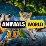 Hello and welcome to Animals World channel. 🦁🐵🦍🐶🐘🐆🐴🤯🤩😇🐘😃😍 👌🐘