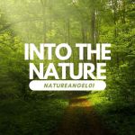 NatureAngel01