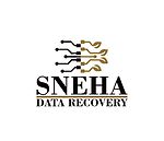 Data Recovery Service