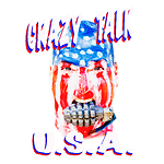 USA Crazy Talk