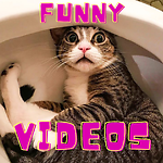 Funny Videos