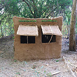 Primitive survival
