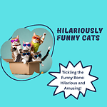 Hilariously funny cats