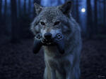 Aberrant Wolf Gaming
