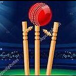 Cricket world