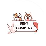 FunnyanimalsZZZ