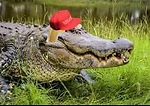 TrumpTXCS
