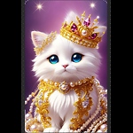 cats and dogs video.