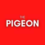 Thepigeon