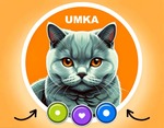 Smart Talking Cat Name Umka