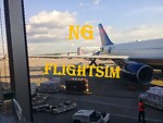 NG Flightsim