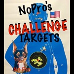 Target Shooting Challenges