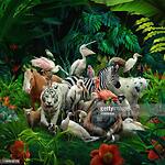 Only animals