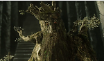 Treebeard48