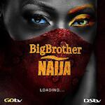 Big Brother Naija Season 6 updates