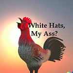 White Hats My Ass