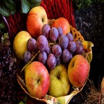 Nature's superfoods we chose to forget
