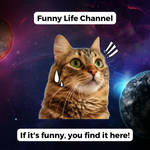 Funny Life Channel