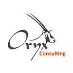 Oryx Consulting