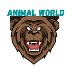 animal world