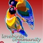 Lovebirds Community