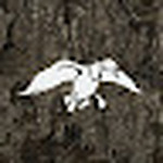 MAY 29 2025 Phil Robertson: Celebration of Life Service