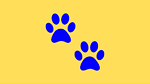 Animals in Focus
