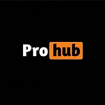 Next Pro Hub