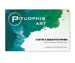 Pituophis Art