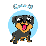 Coco13