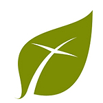 Ordination and Commissioning Service